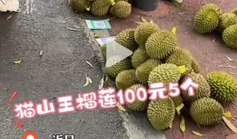 网友爆料榴莲视频大全,网友爆料视频大全，带你领略热带果王的风采