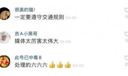 爆料有奖多少钱视频,揭秘视频背后的丰厚奖金！